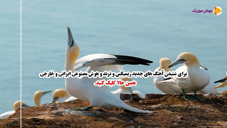 دانلود آهنگ دلبر تو لوس منی تو تازه عروس منی 